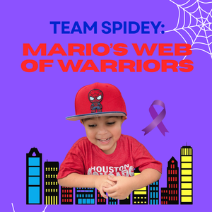 Team Spidey: Mario's Web of Warriors